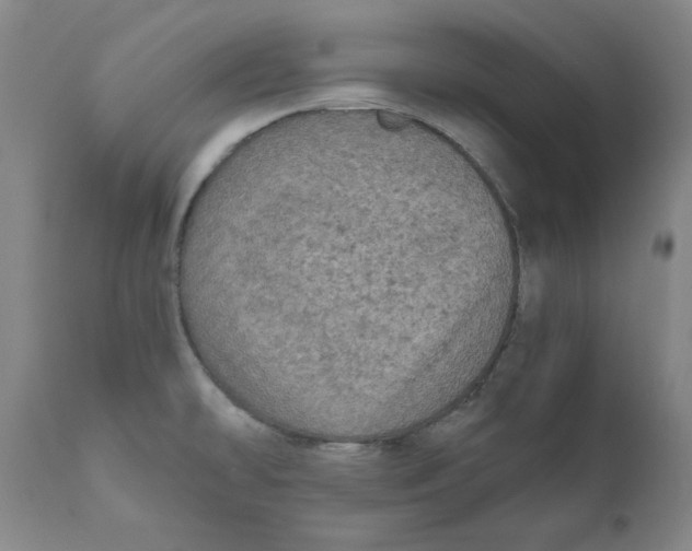 X0000111011478200907101304