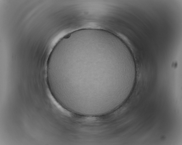 X0000111011479200907101304