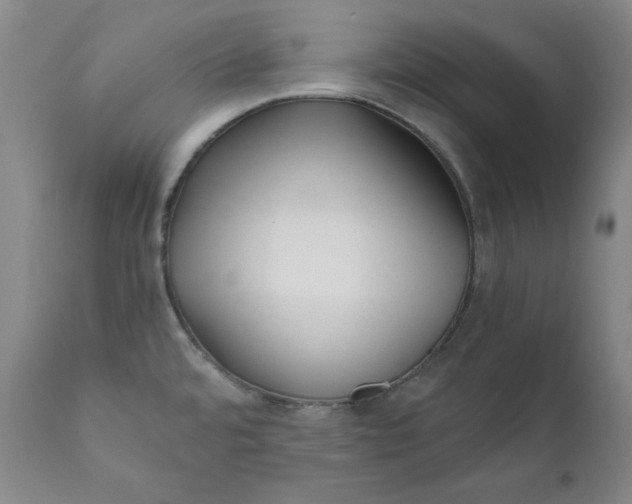 X0000111011480200907101304