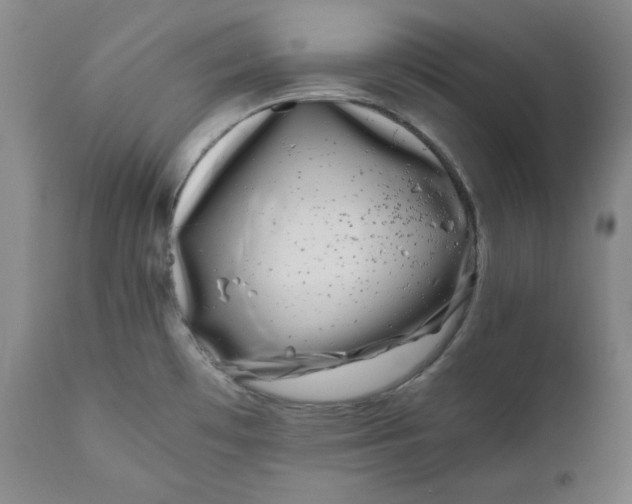 X0000111011481200907101304