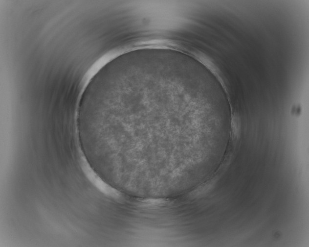 X0000111011482200907101304