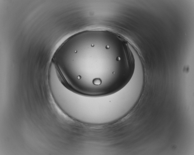 X0000111011484200907101304
