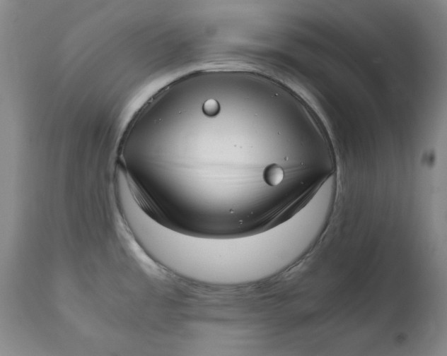 X0000111011485200907101304