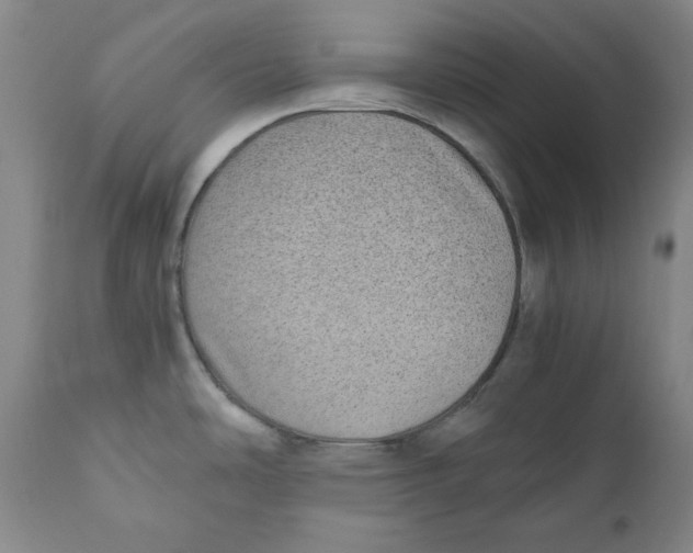 X0000111011486200907101304