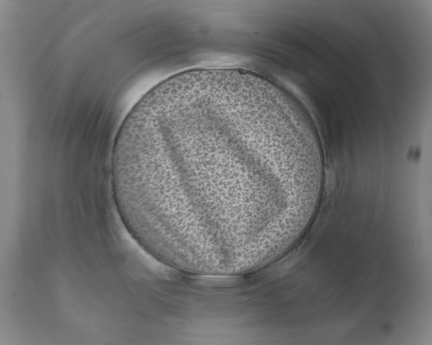 X0000111011487200907101304