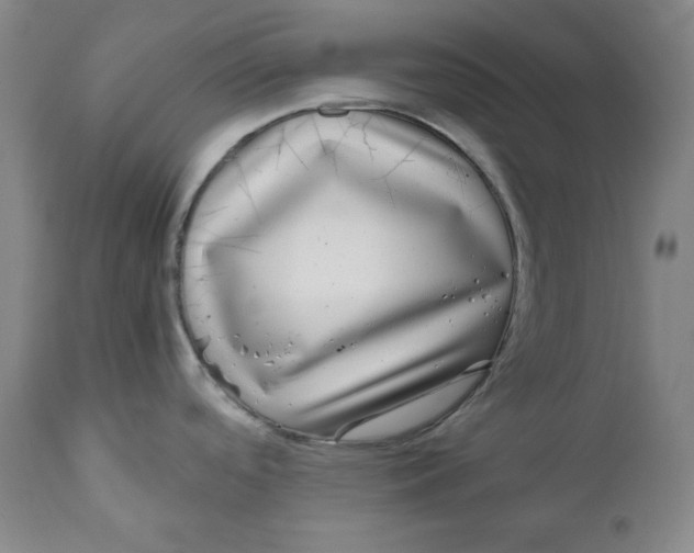 X0000111011488200907101304