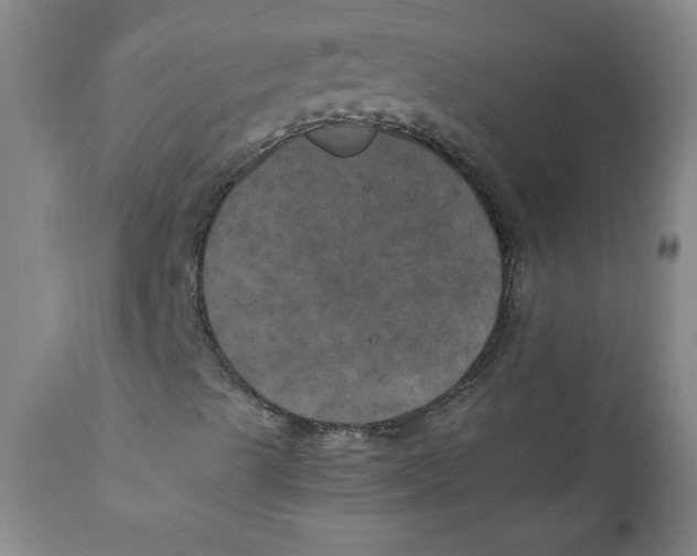 X0000111011489200907101303