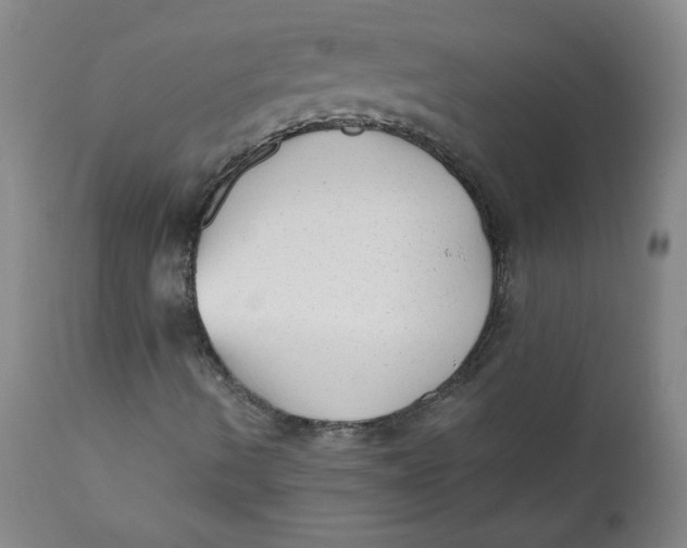 X0000111011490200907101303