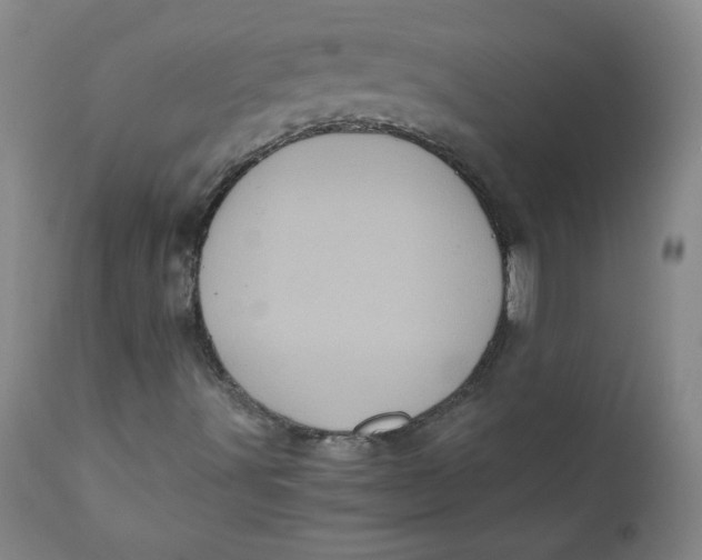 X0000111011491200907101303