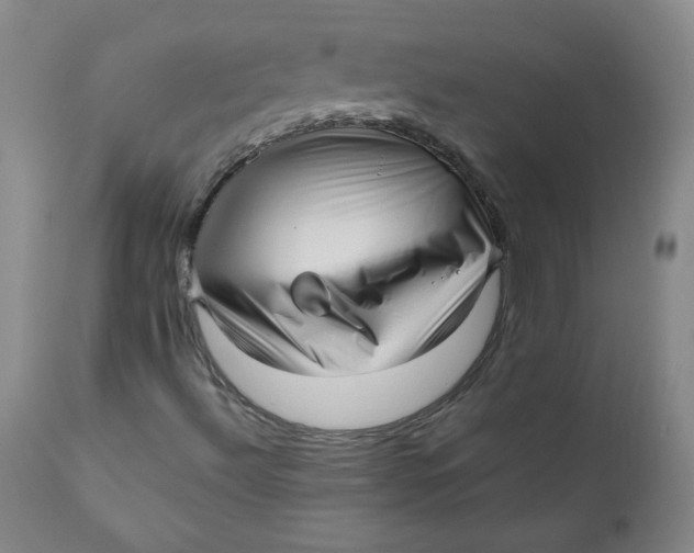 X0000111011492200907101303