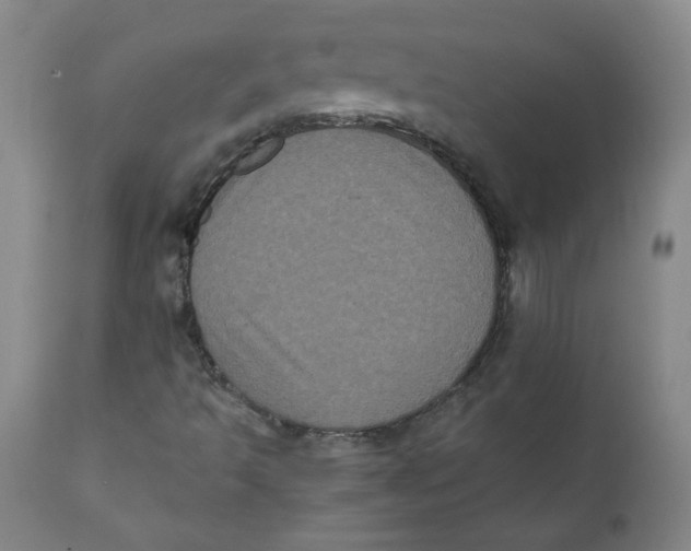 X0000111011493200907101303