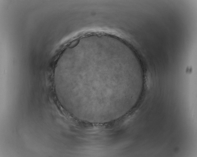 X0000111011494200907101303