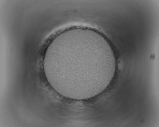 X0000111011495200907101303