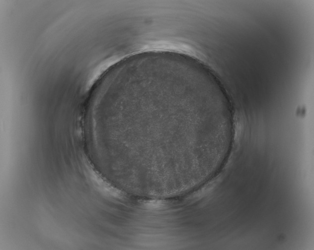 X0000111011497200907101303