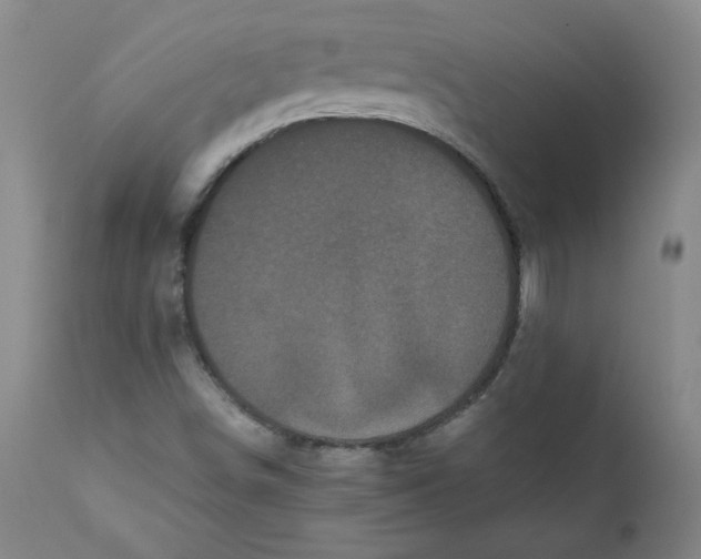 X0000111011498200907101303