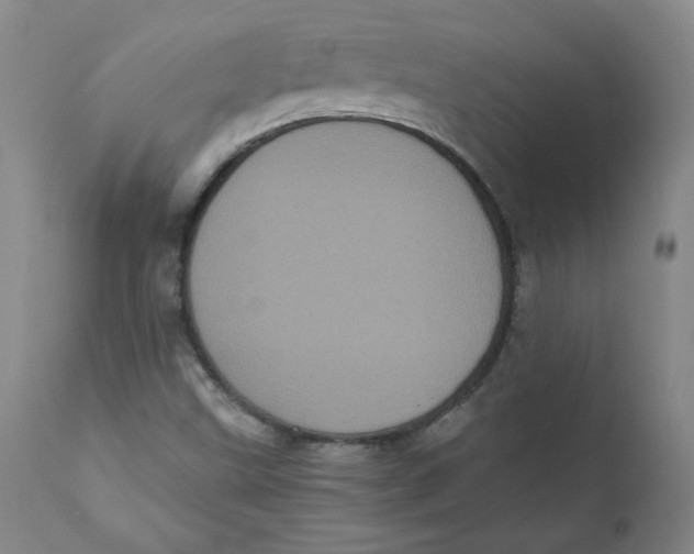 X0000111011499200907101303