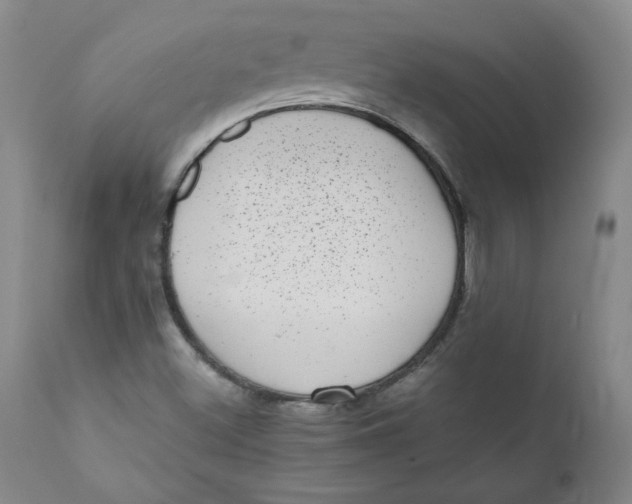 X0000111011500200907101303