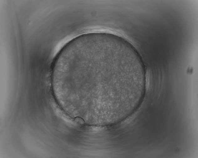 X0000111011501200907101303