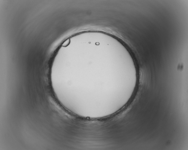 X0000111011502200907101303