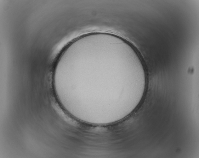 X0000111011503200907101303