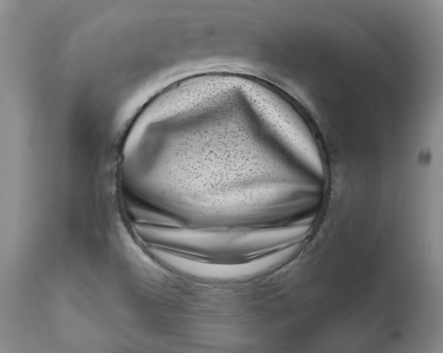 X0000111011504200907101303