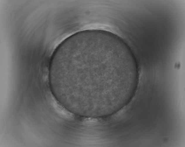 X0000111011505200907101303