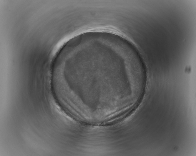 X0000111011506200907101303