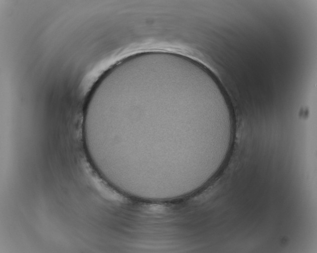 X0000111011507200907101303