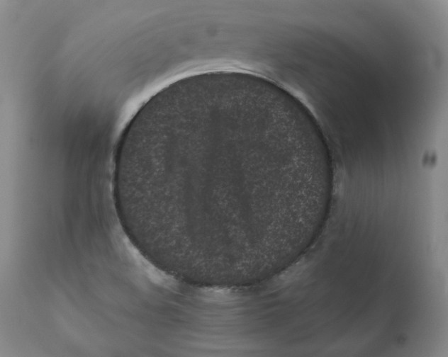X0000111011508200907101303