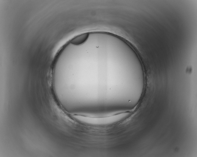 X0000111011510200907101303