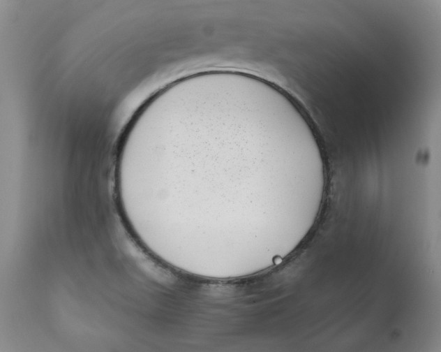 X0000111011511200907101303
