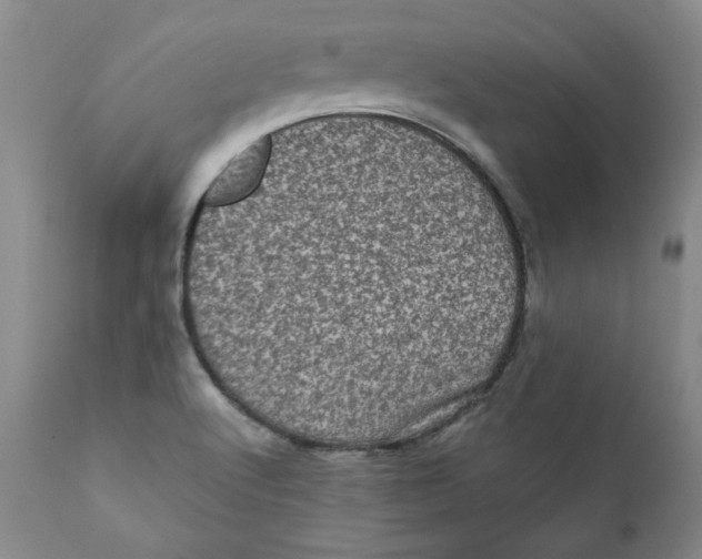X0000111011512200907101303