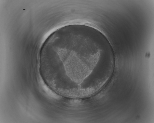 X0000111011515200907101303