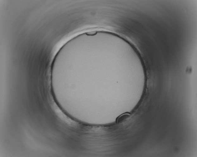 X0000111011516200907101303