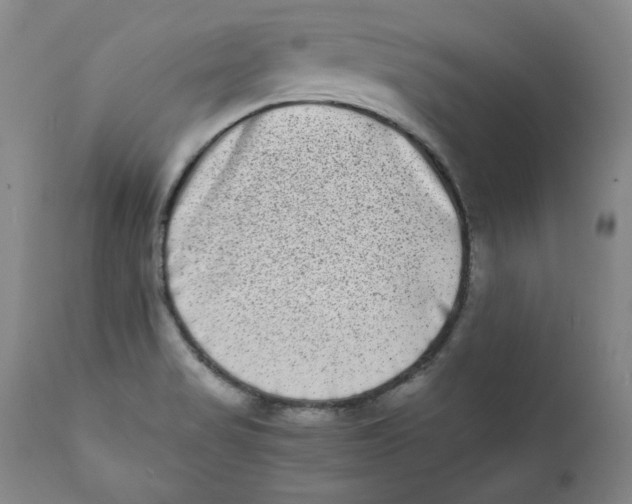 X0000111011517200907101303