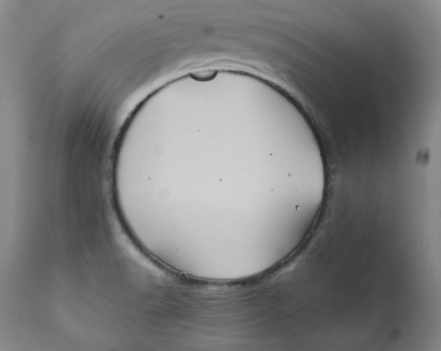 X0000111011518200907101303