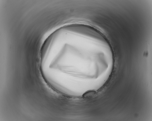 X0000111011520200907101303