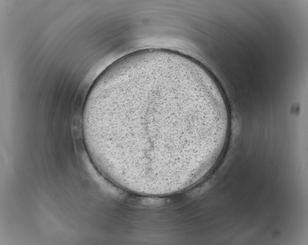 X0000111011521200907101303