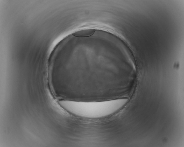 X0000111011522200907101303