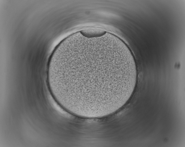 X0000111011523200907101303