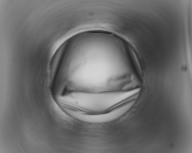 X0000111011524200907101303