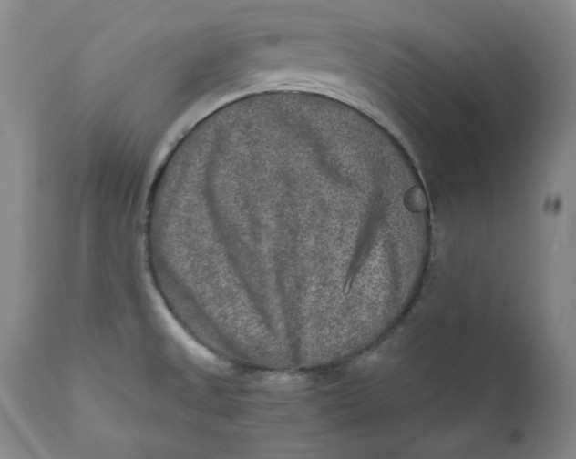 X0000111011525200907101303