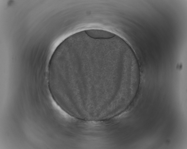 X0000111011527200907101303