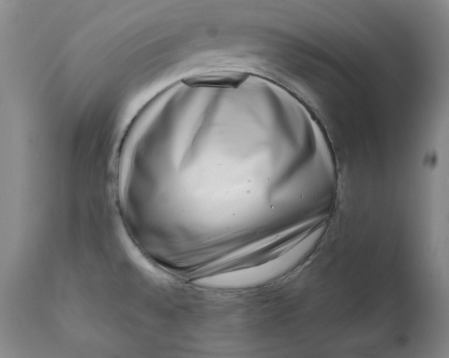 X0000111011528200907101303