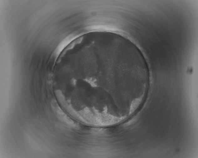 X0000111011529200907101303