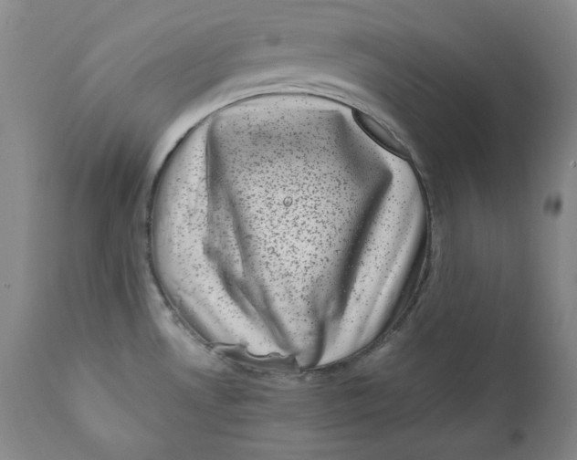 X0000111011530200907101303