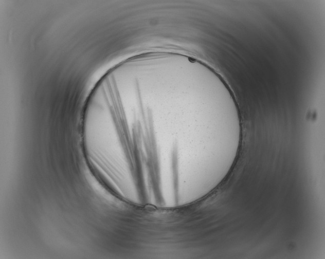 X0000111011531200907101304