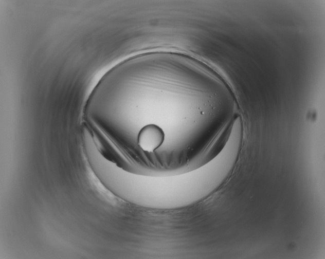 X0000111011532200907101304