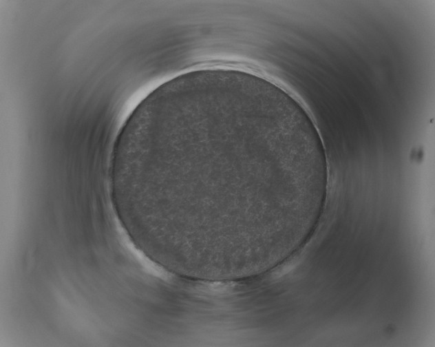 X0000111011533200907101304