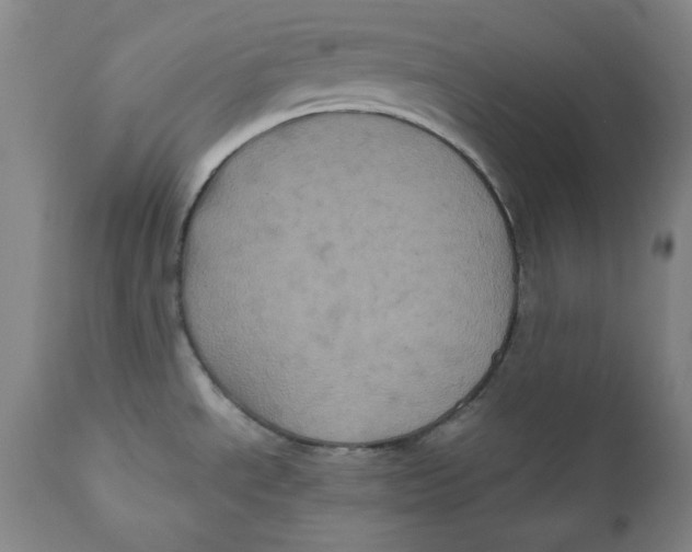 X0000111011534200907101304